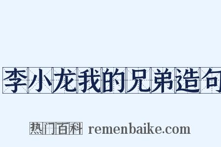 李小龙我的兄弟造句是什么意思的图片